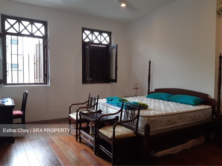 Joo Chiat Place (D15), Semi-Detached #173220622